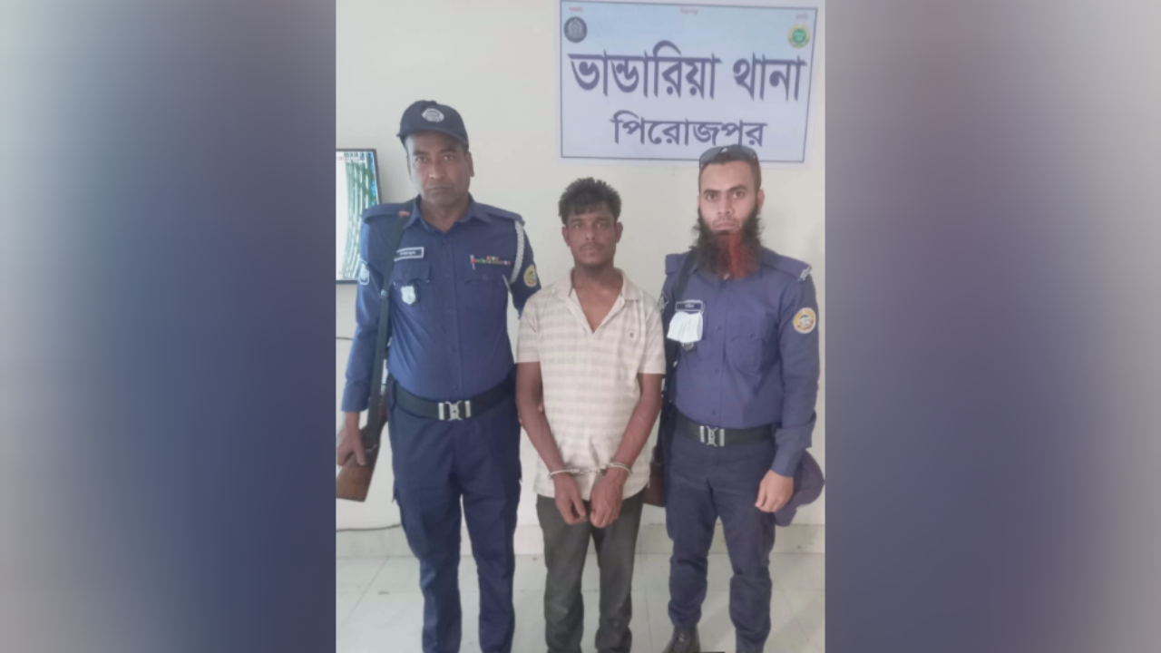 ভান্ডারিয়ায় পেশাদার চোর গ্রেফতার