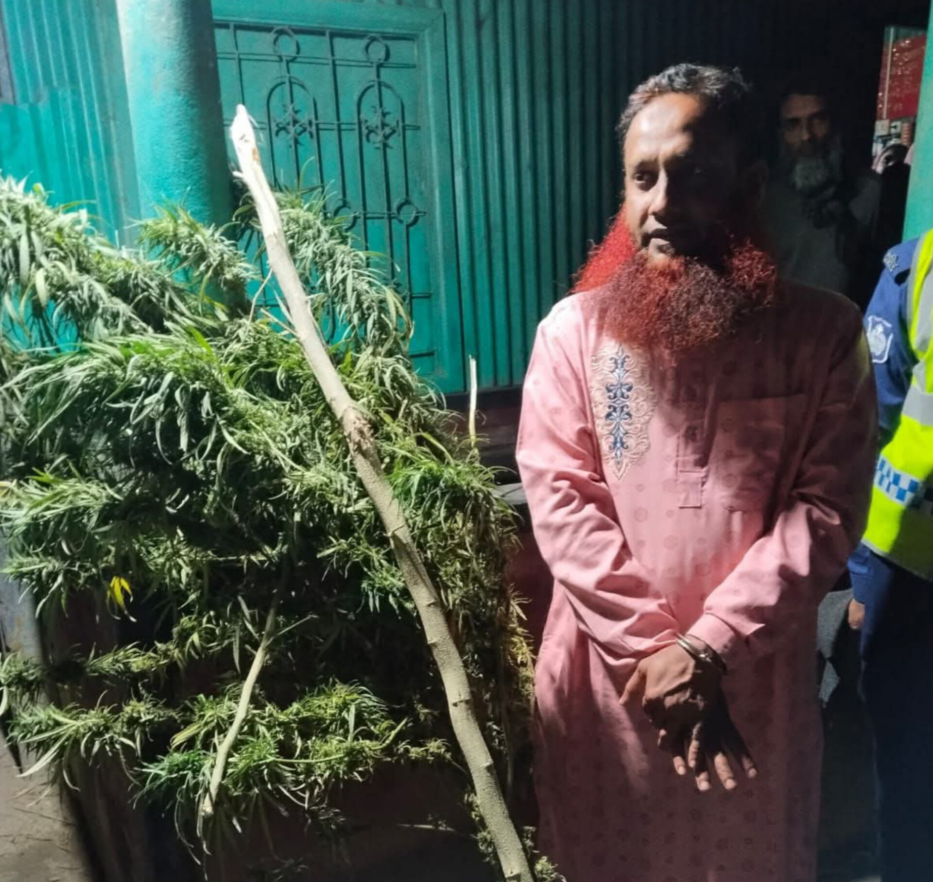 কাজিপুরে যৌথ অভিযানে ৫ কেজির গাঁজার গাছসহ গ্রেপ্তার এক