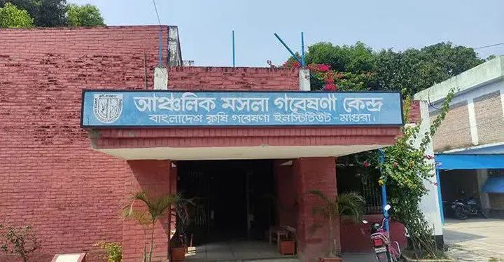 মাগুরা আঞ্চলিক মসলা গবেষণা কেন্দ্রের জমি অধিগ্রহণে দীর্ঘসূত্রতা, ক্ষতিগ্রস্ত  ভূমি মালিকেরা