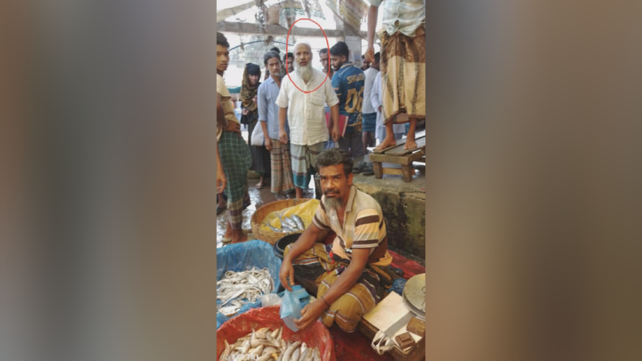 ভান্ডারিয়ায় রং মিশিয়ে মাছ বিক্রি, ভিডিও করায় সাংবাদিক হেনস্তার অভিযোগ