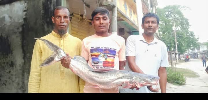 পত্নীতলায় আত্রাই নদীতে ৮ কেজি আইড় মাছ শিকার