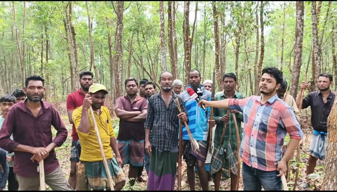 চুনারুঘাটের রেমা কালেঙ্গা যেন জঙ্গল সলিমপুর