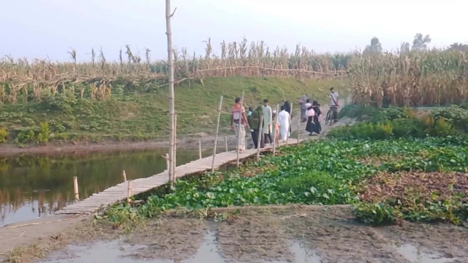 উন্নয়ন বঞ্চিত ধুনটের বেড়েরবাড়ী গ্রাম, বাঁশের সাঁকোয় জীবনযাত্রা